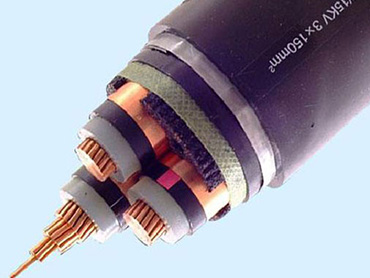 特種線報(bào)價